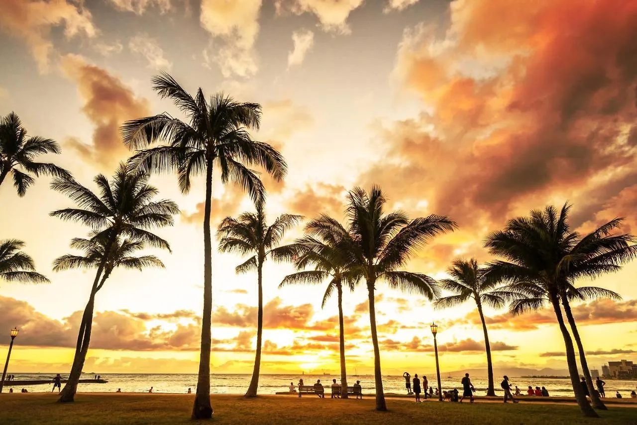 Marvelous Mountain View Studio Condo Honolulu United States
